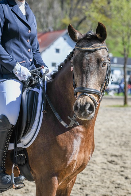 的宏伟目标 的宏伟目标