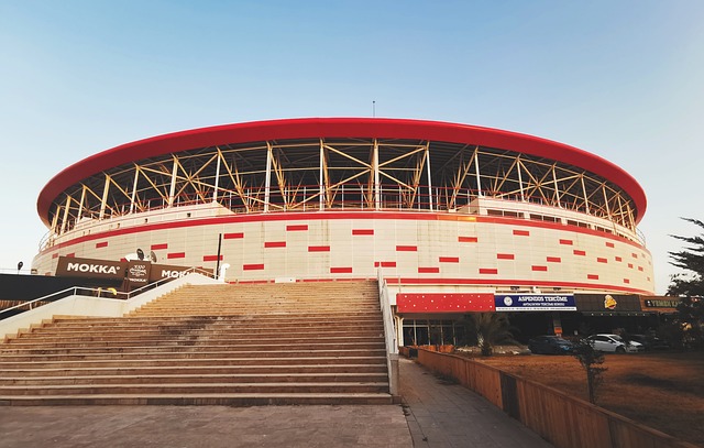 仅起到了 仅起到了