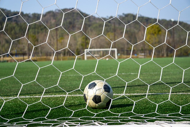 其他竞争者 其他竞争者