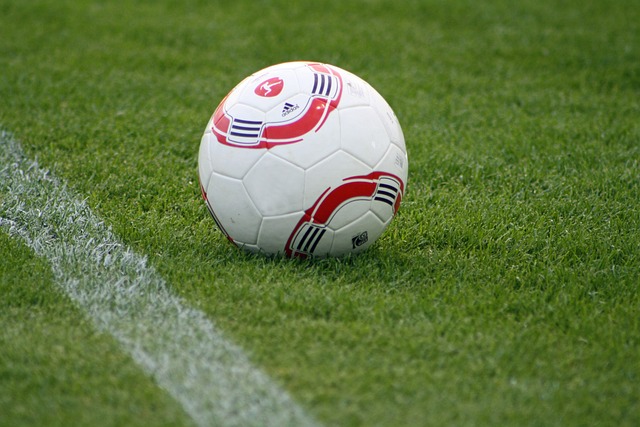 们的一片哗 们的一片哗