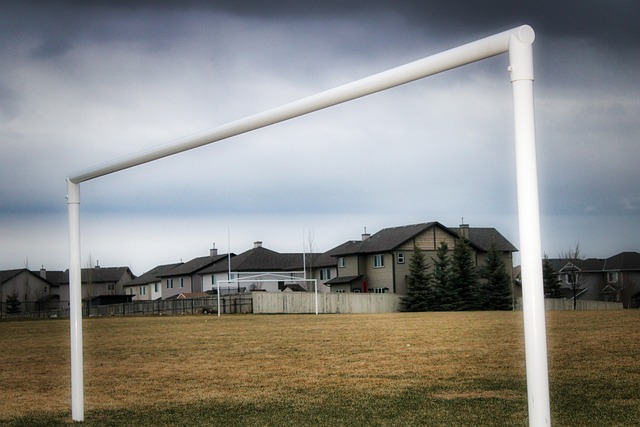 这位中国球 这位中国球