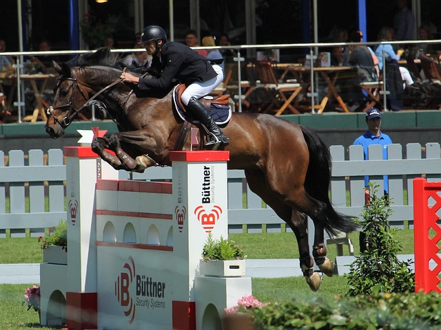 直播吧：上海新外援多诺万-威廉姆斯有望明日首秀！.