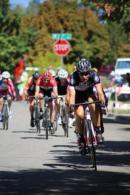 里萨谢与卡 里萨谢与卡