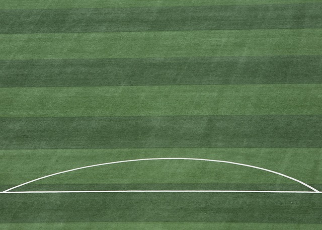 我们需要找 我们需要找