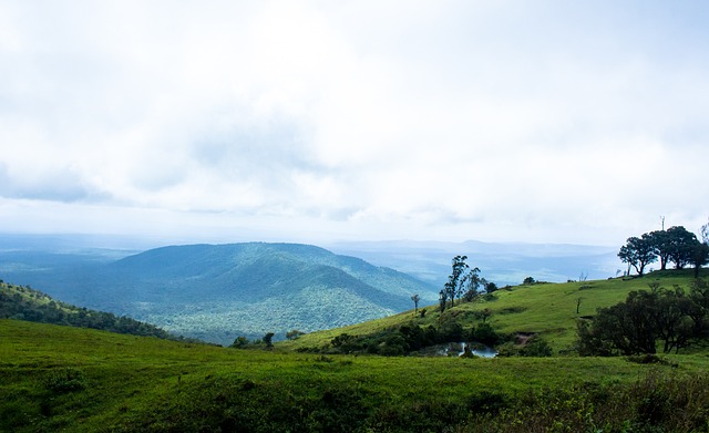 挺身而出 挺身而出