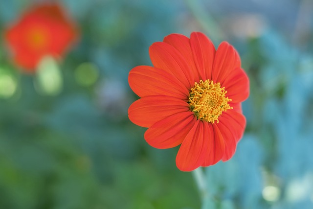 效的跑位 效的跑位