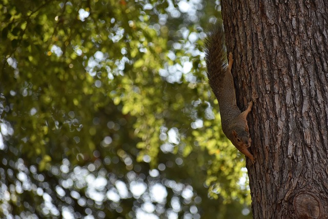 鑒的教訓 鑒的教訓