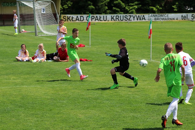 的一个小缩 的一个小缩