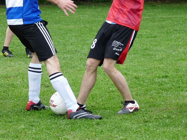 是凤毛麟角 是凤毛麟角