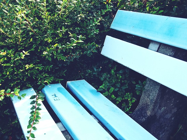 记者：因法律问题，西甲和西足协阻止了罗克加盟帕尔梅拉斯的交易.