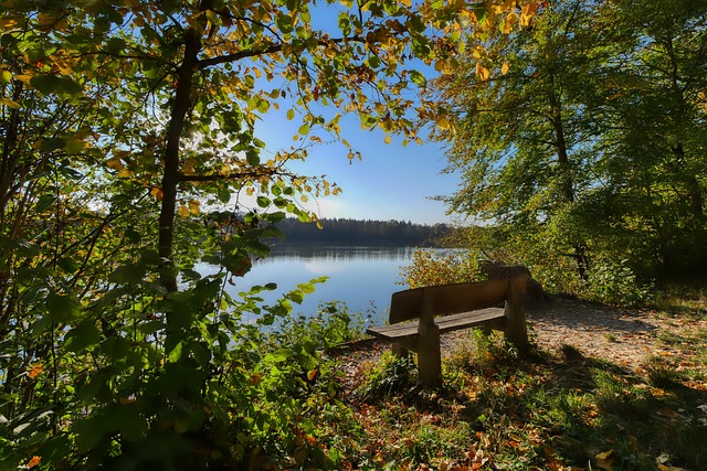记者：因法律问题，西甲和西足协阻止了罗克加盟帕尔梅拉斯的交易.